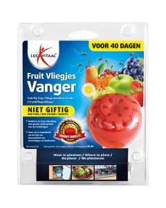 Fruitvliegjes vanger