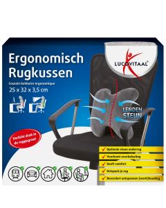 Ergonomisch Rugkussen